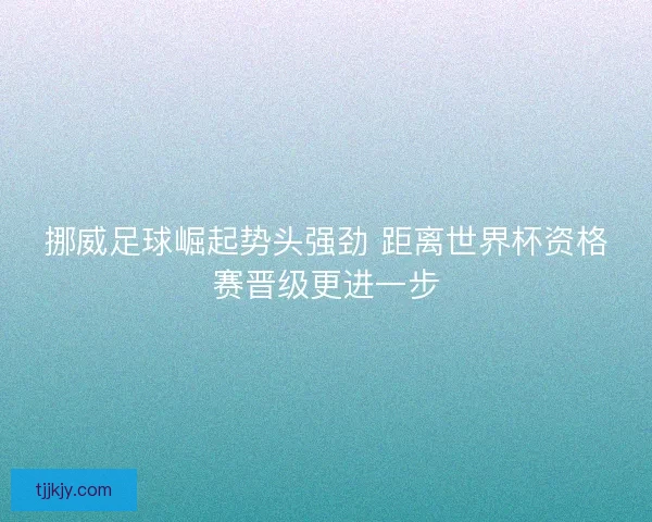 挪威足球崛起势头强劲 距离世界杯资格赛晋级更进一步