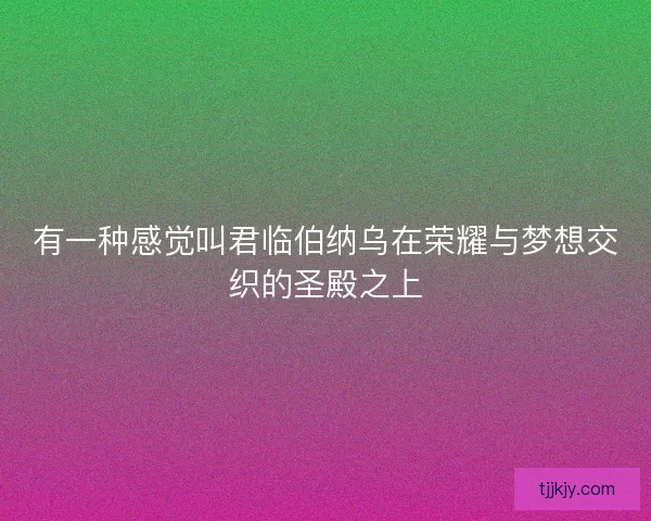 有一种感觉叫君临伯纳乌在荣耀与梦想交织的圣殿之上