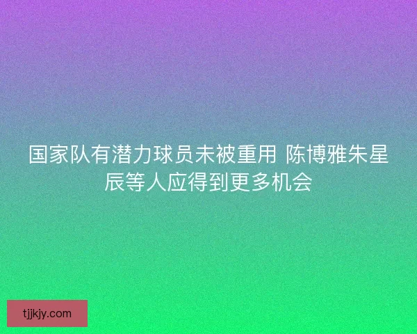 国家队有潜力球员未被重用 陈博雅朱星辰等人应得到更多机会