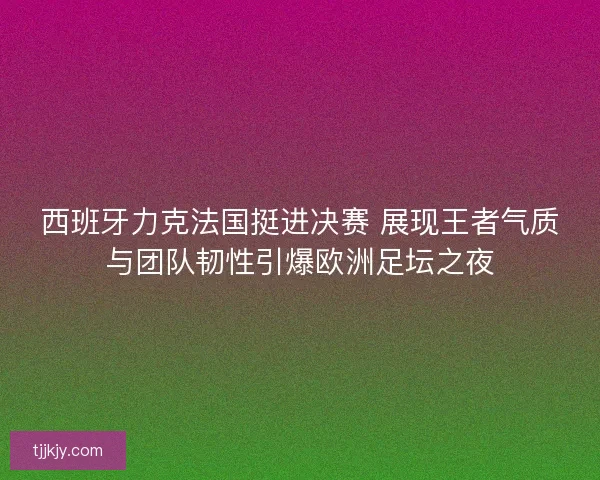西班牙力克法国挺进决赛 展现王者气质与团队韧性引爆欧洲足坛之夜 西班牙力克法国挺进决赛 展现王者气质与团队韧性引爆欧洲足坛之夜
