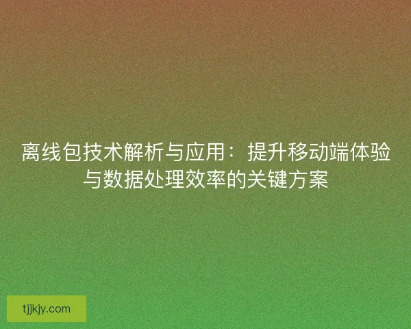 离线包技术解析与应用：提升移动端体验与数据处理效率的关键方案