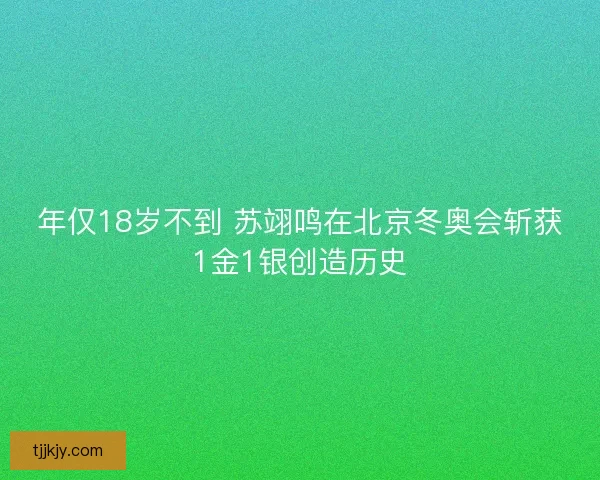 年仅18岁不到 苏翊鸣在北京冬奥会斩获1金1银创造历史