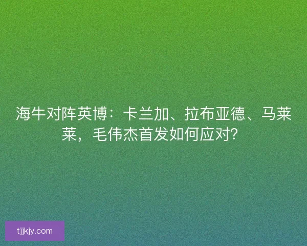 海牛对阵英博：卡兰加、拉布亚德、马莱莱，毛伟杰首发如何应对？