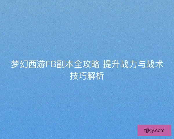 梦幻西游FB副本全攻略 提升战力与战术技巧解析