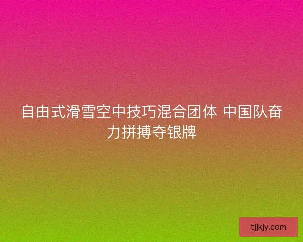自由式滑雪空中技巧混合团体 中国队奋力拼搏夺银牌