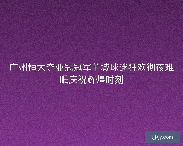 广州恒大夺亚冠冠军羊城球迷狂欢彻夜难眠庆祝辉煌时刻